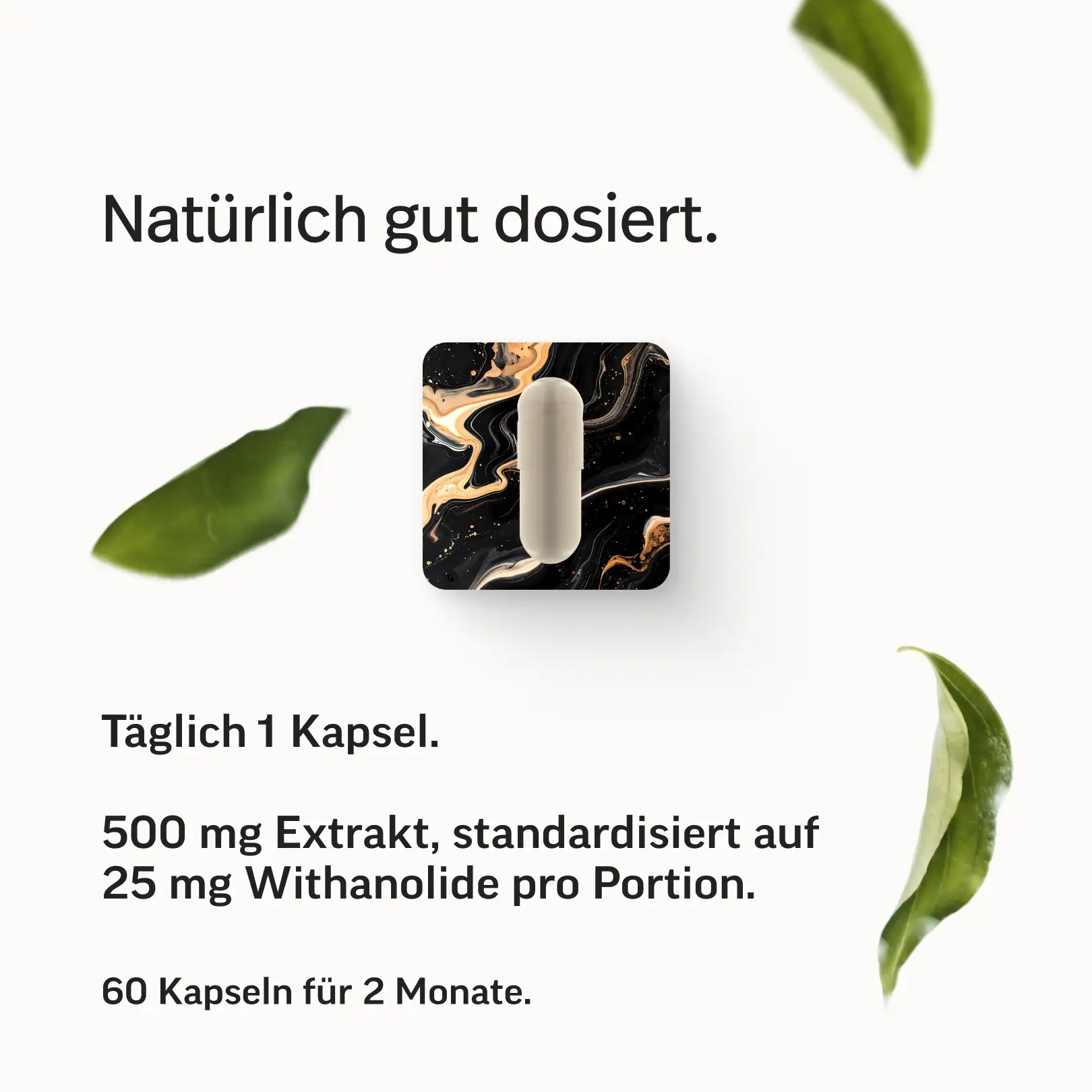 Ashwagandha Kapseln KSM-66® - Image 6