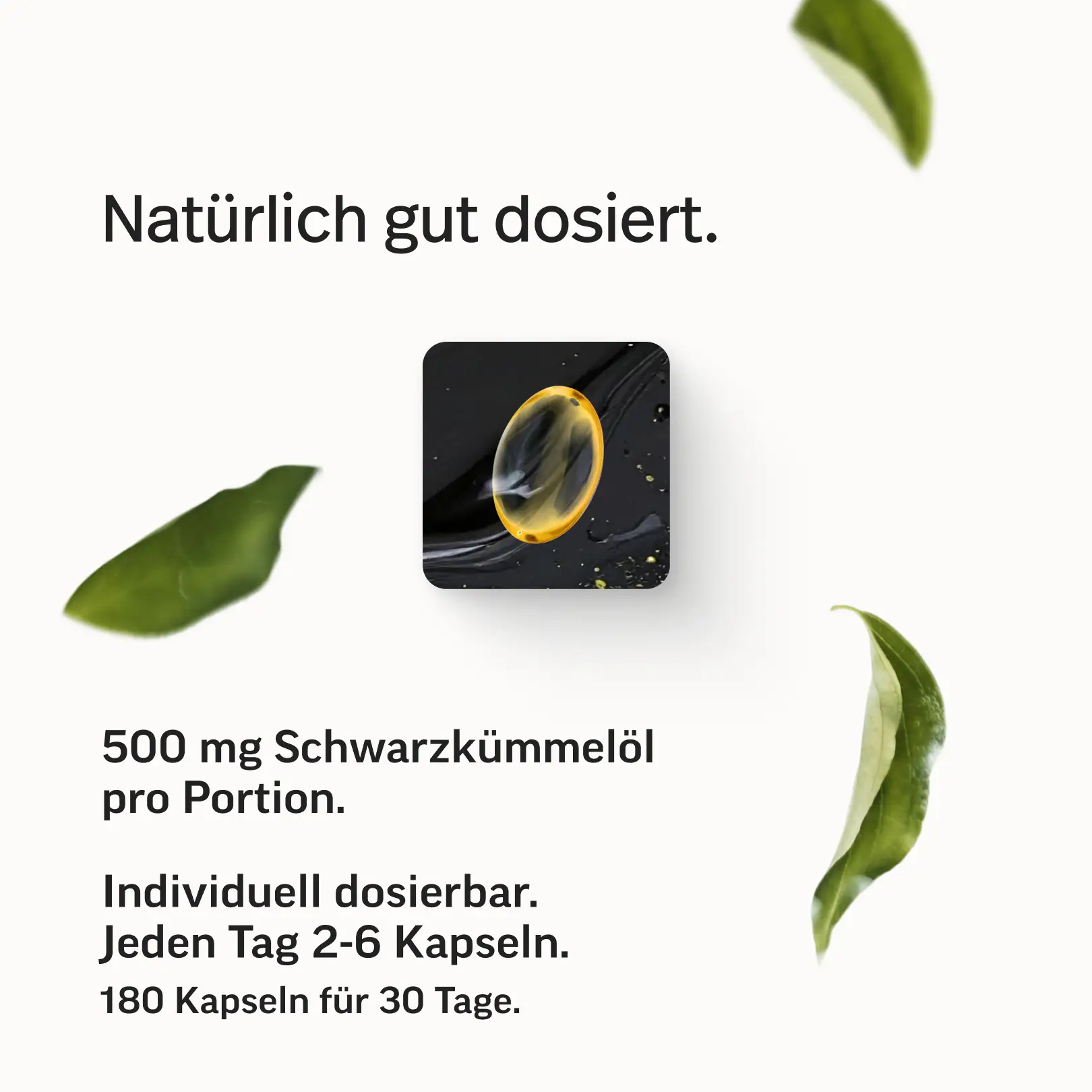 Bio-Schwarzkümmelöl Kapseln - Image 5