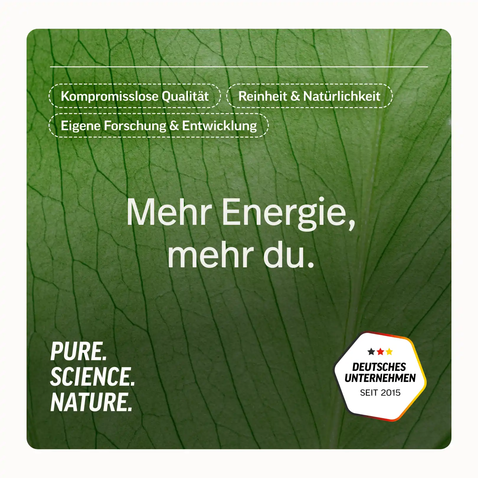 Bio-Schwarzkümmelöl Kapseln - Image 6