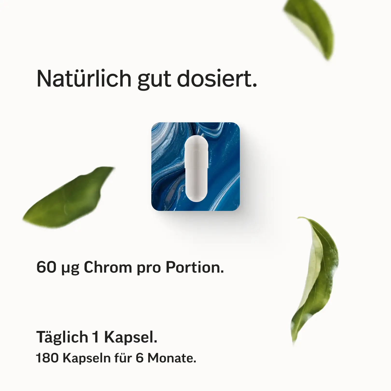 Chrompicolinat Kapseln - Image 6
