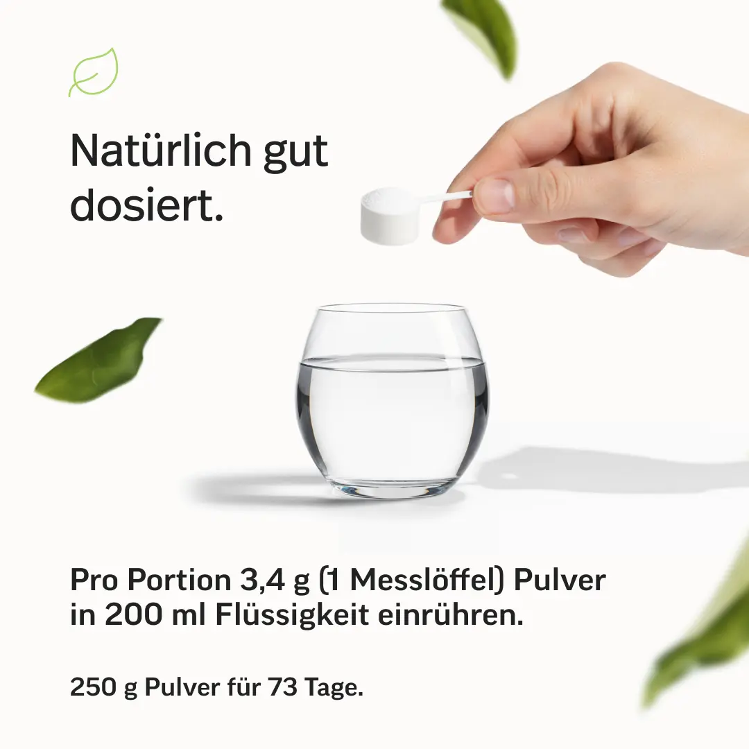 Kreatin Pulver Creavitalis® - Image 8