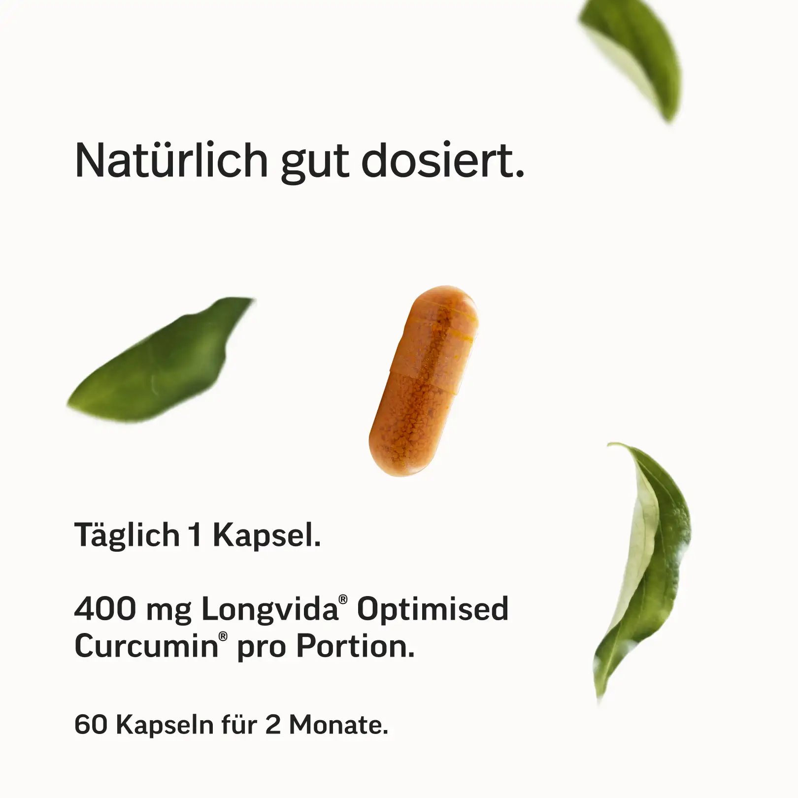 Curcumin Kapseln – Longvida® Optimised Curcumin® - Image 6