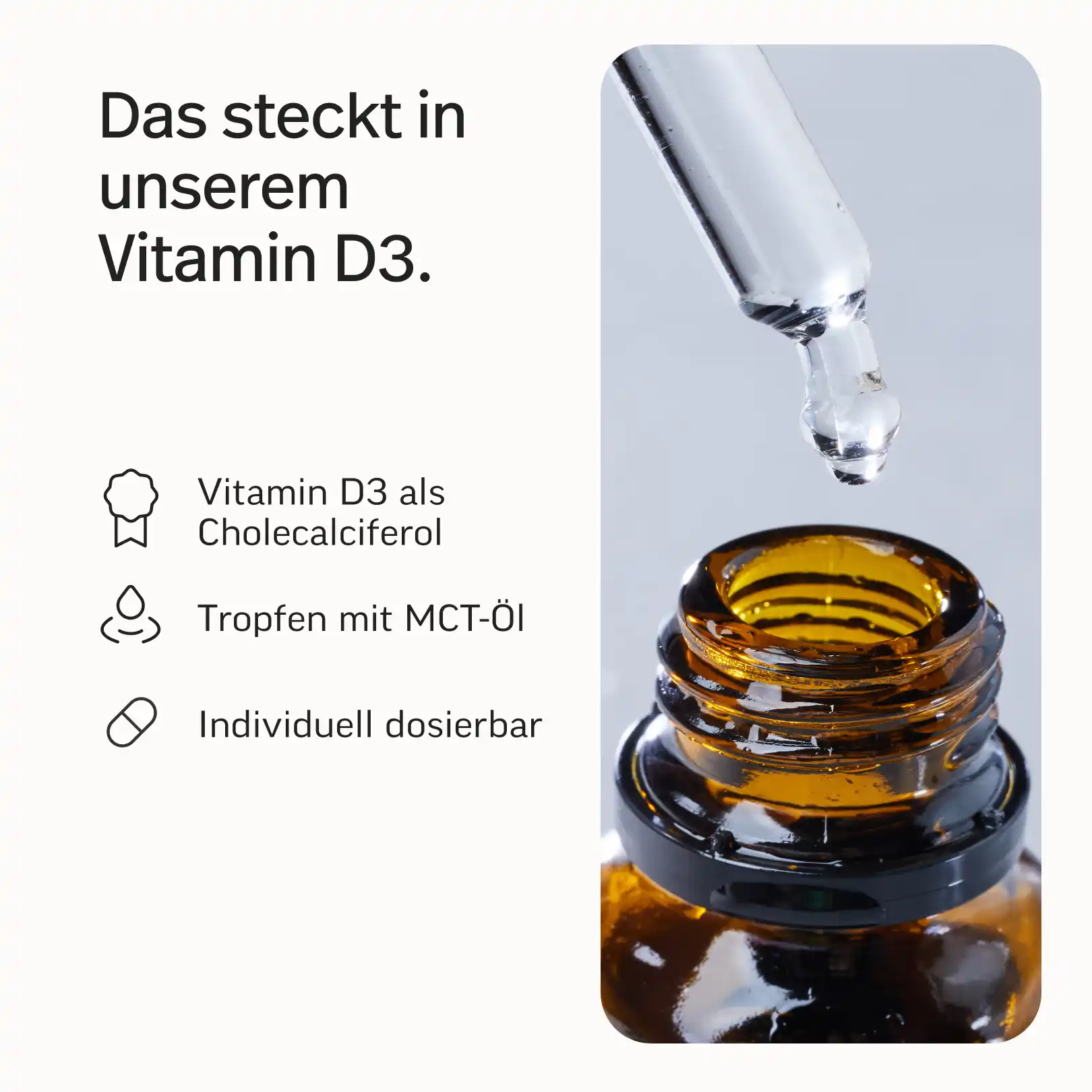 Darm-Bundle - Image 7