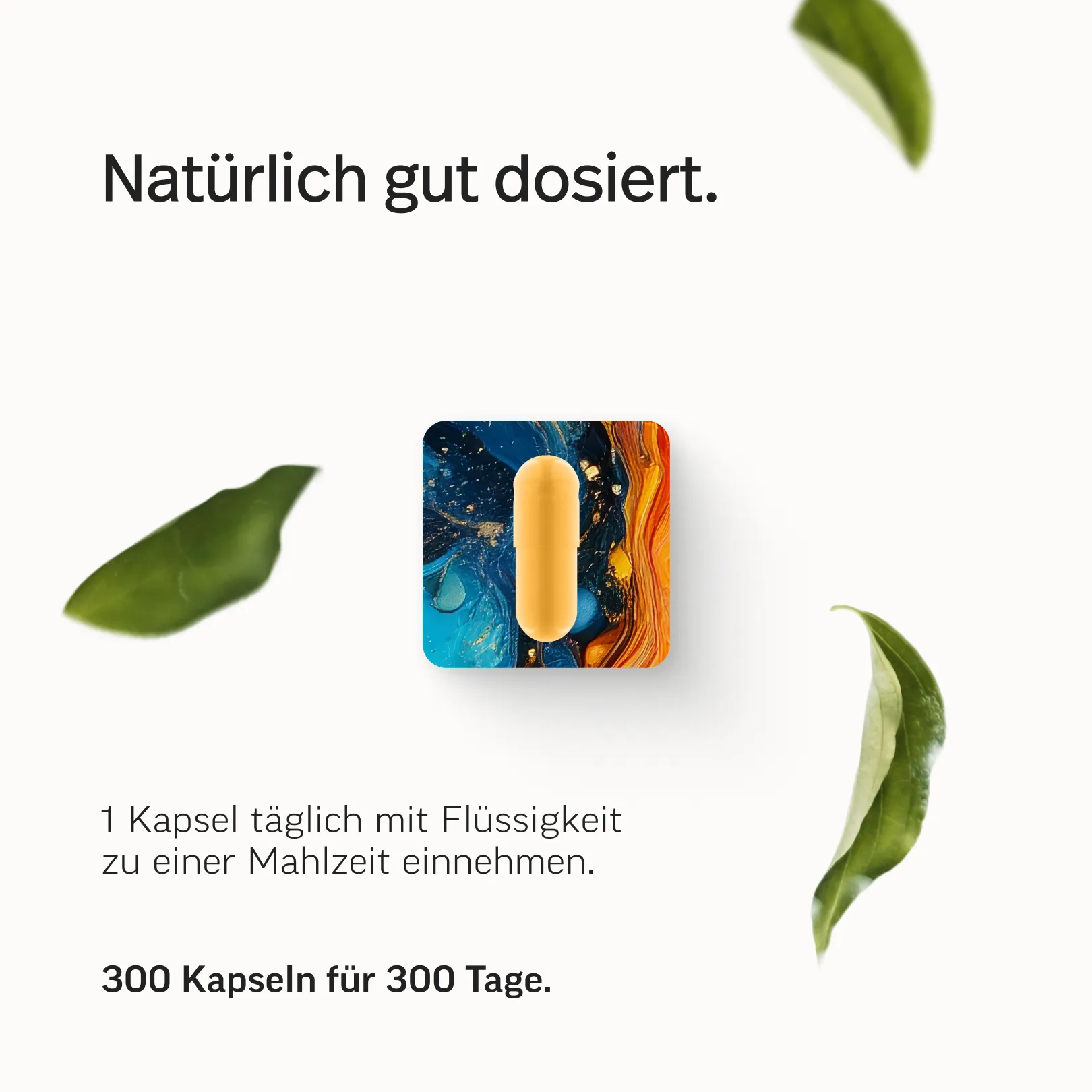 Das Multi – Premium-Multivitamin-Kapseln - Image 18