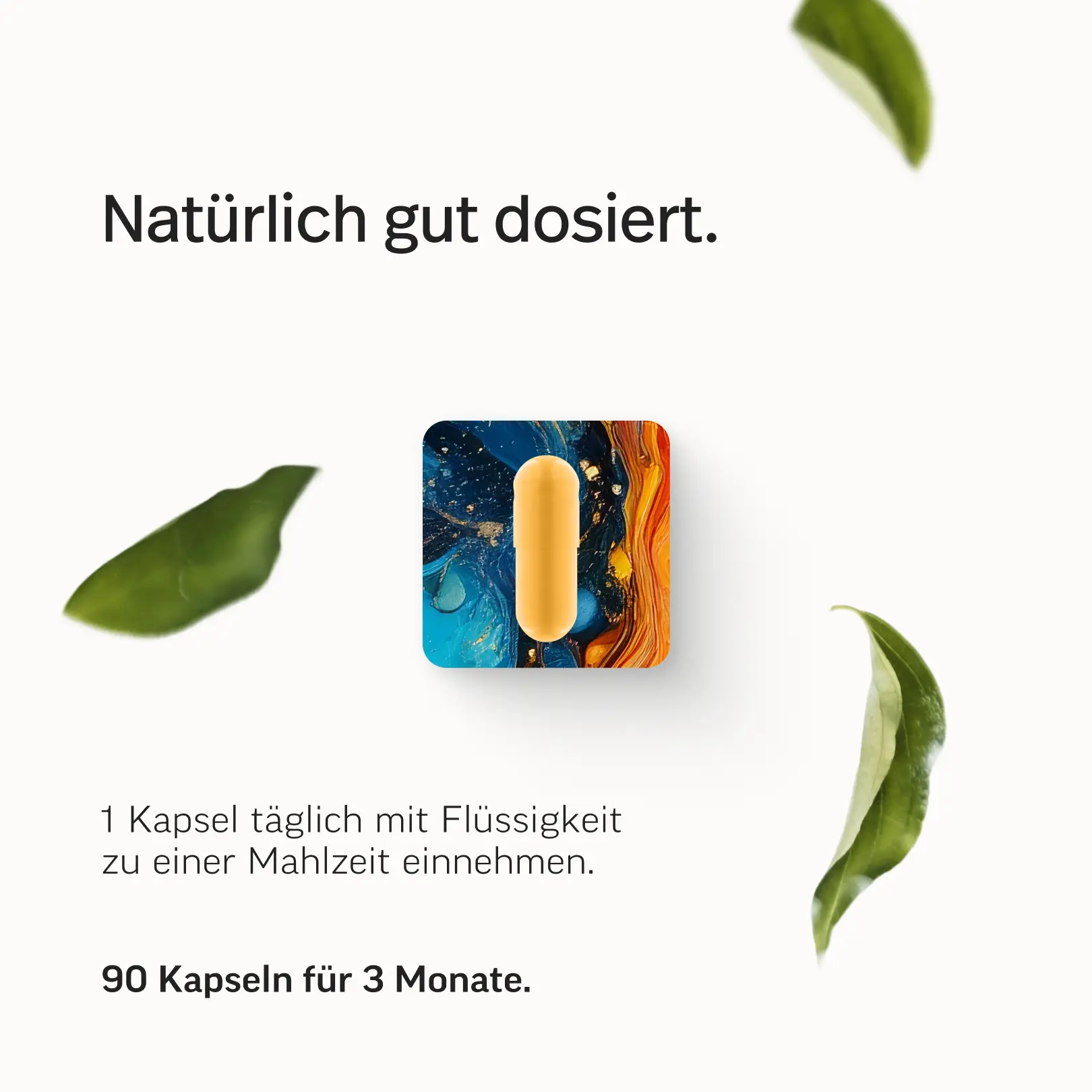 Das Multi – Premium-Multivitamin-Kapseln - Image 29