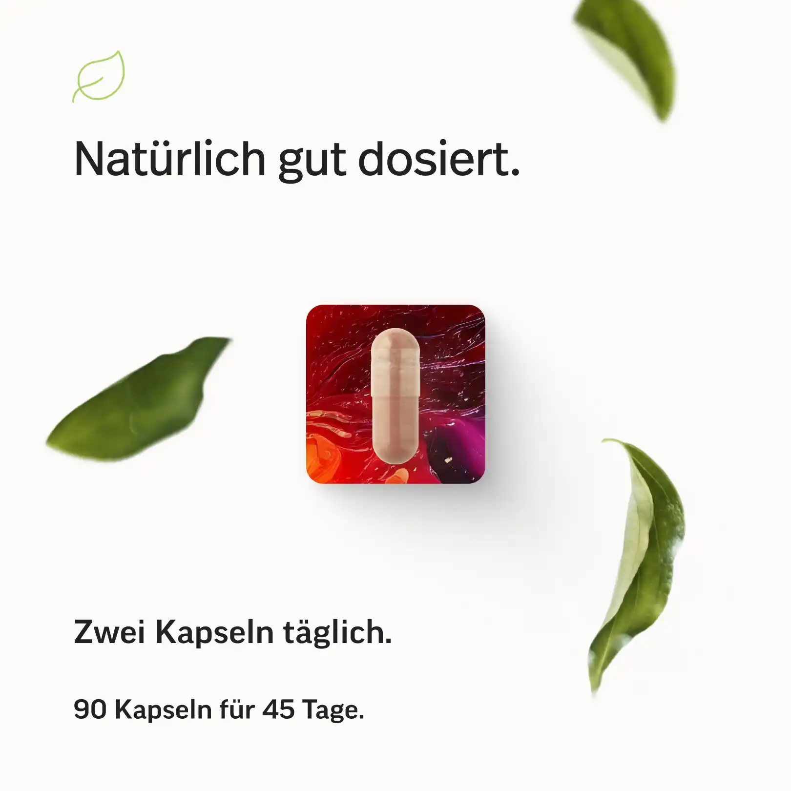 Eisen Kapseln mit Lactoferrin - Image 6