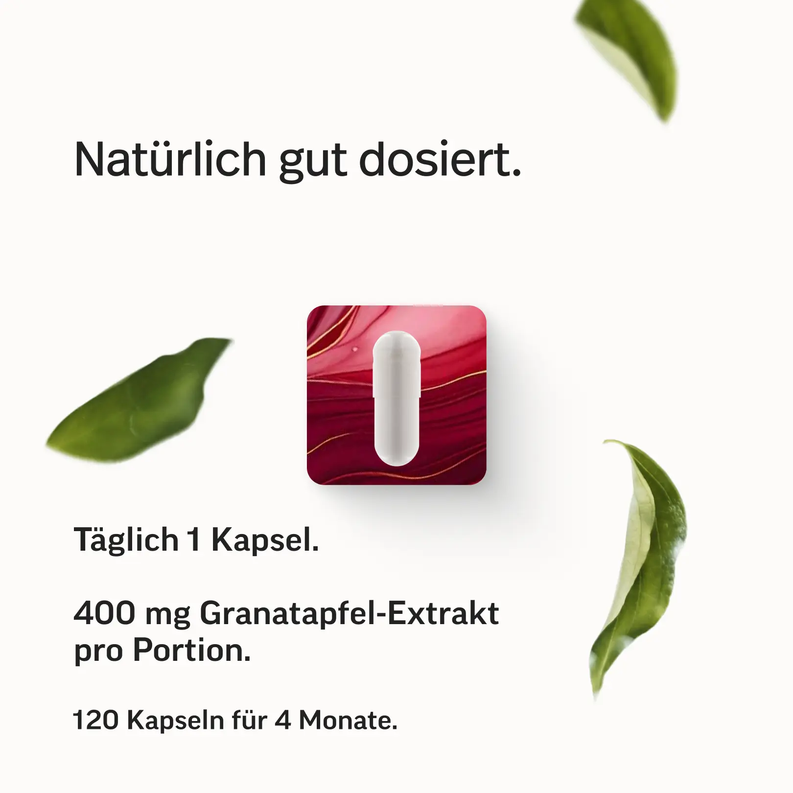 Granatapfel-Extrakt Pro - Image 6