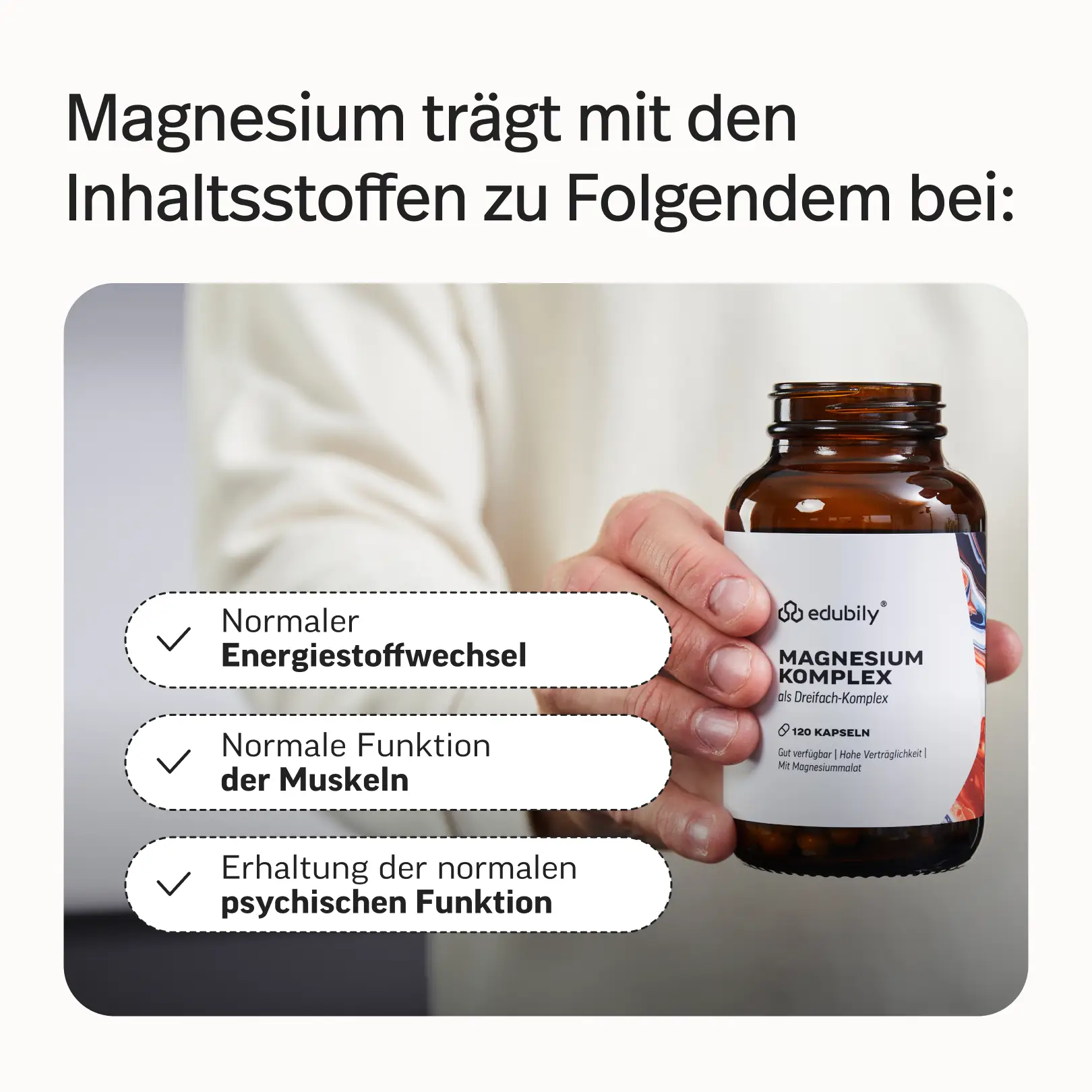 Gründer-Bundle Phil - Image 7