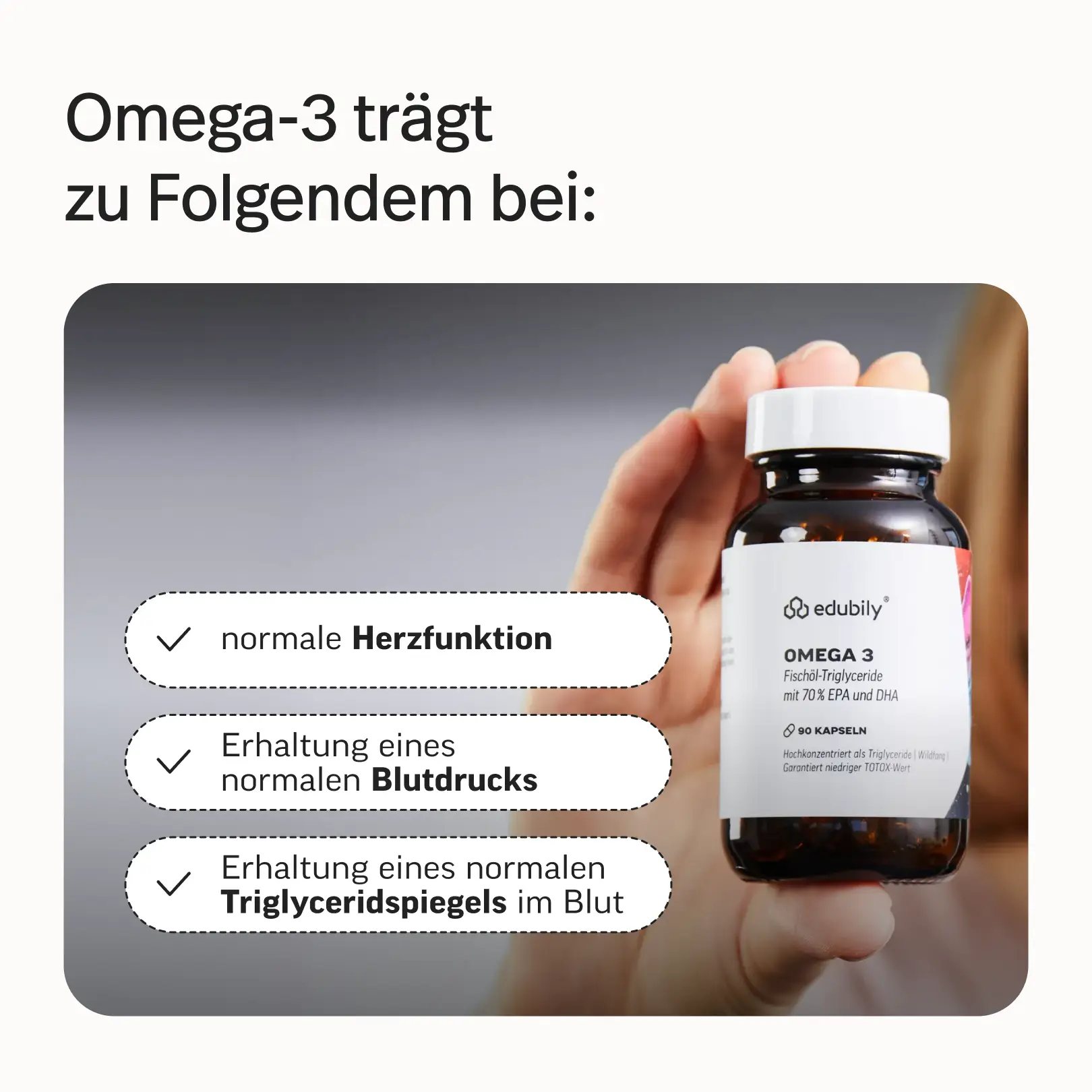 Gründer-Bundle Phil - Image 9