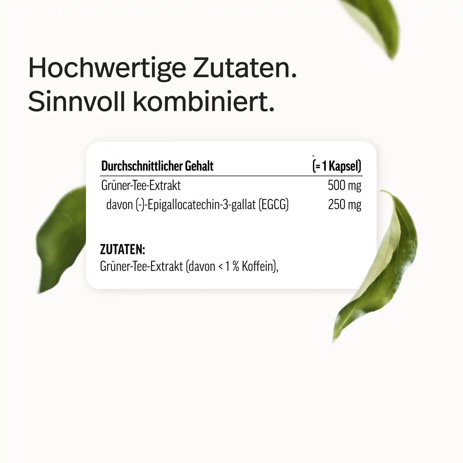Grüntee-Extrakt Kapseln mit 50 % EGCG - Image 9
