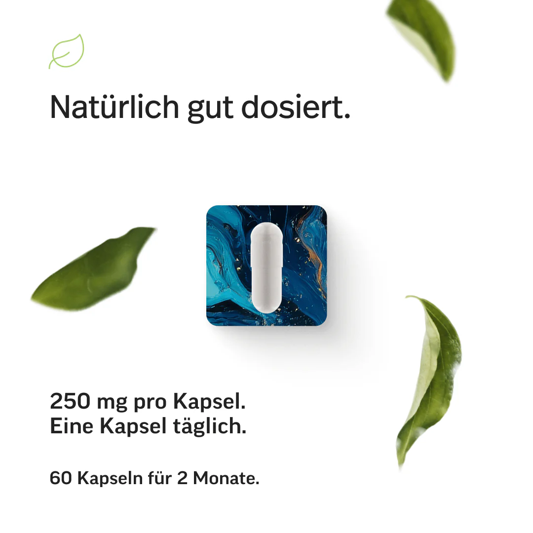 Hyaluronsäure Kapseln - Image 6