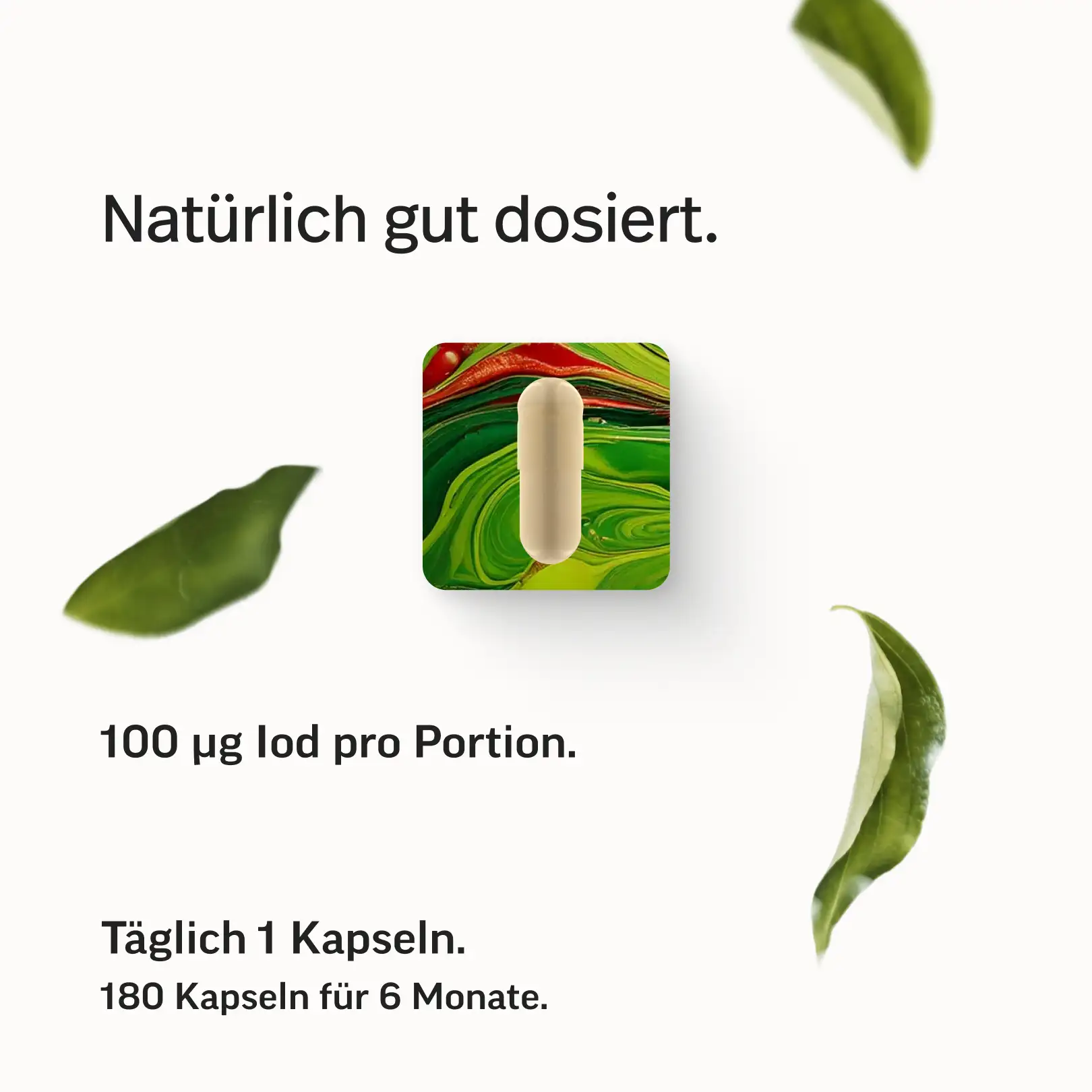 Iod Kapseln – aus reinstem Bio-Kelp - Image 8