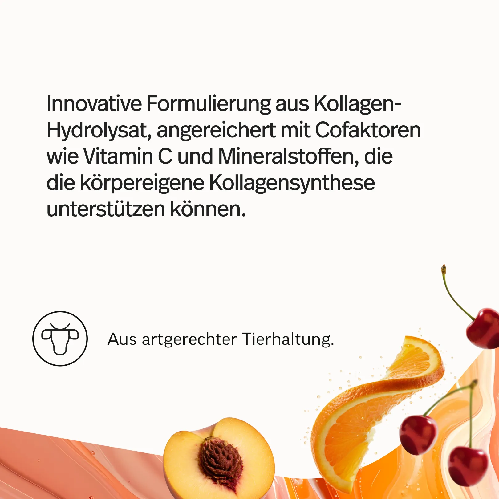 Kollagen + Whey-Bundle - Image 4