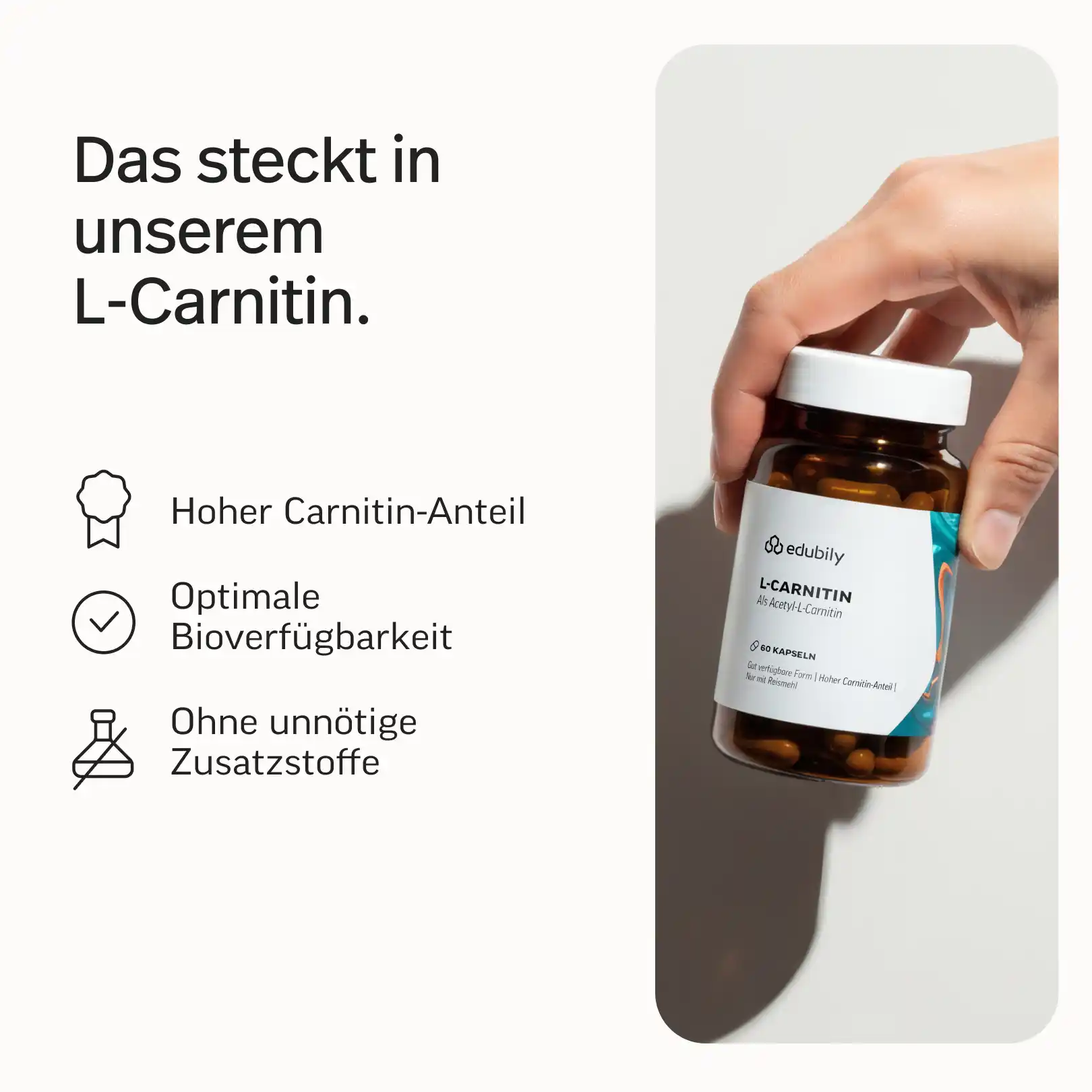 L-Carnitin Kapseln - Image 3