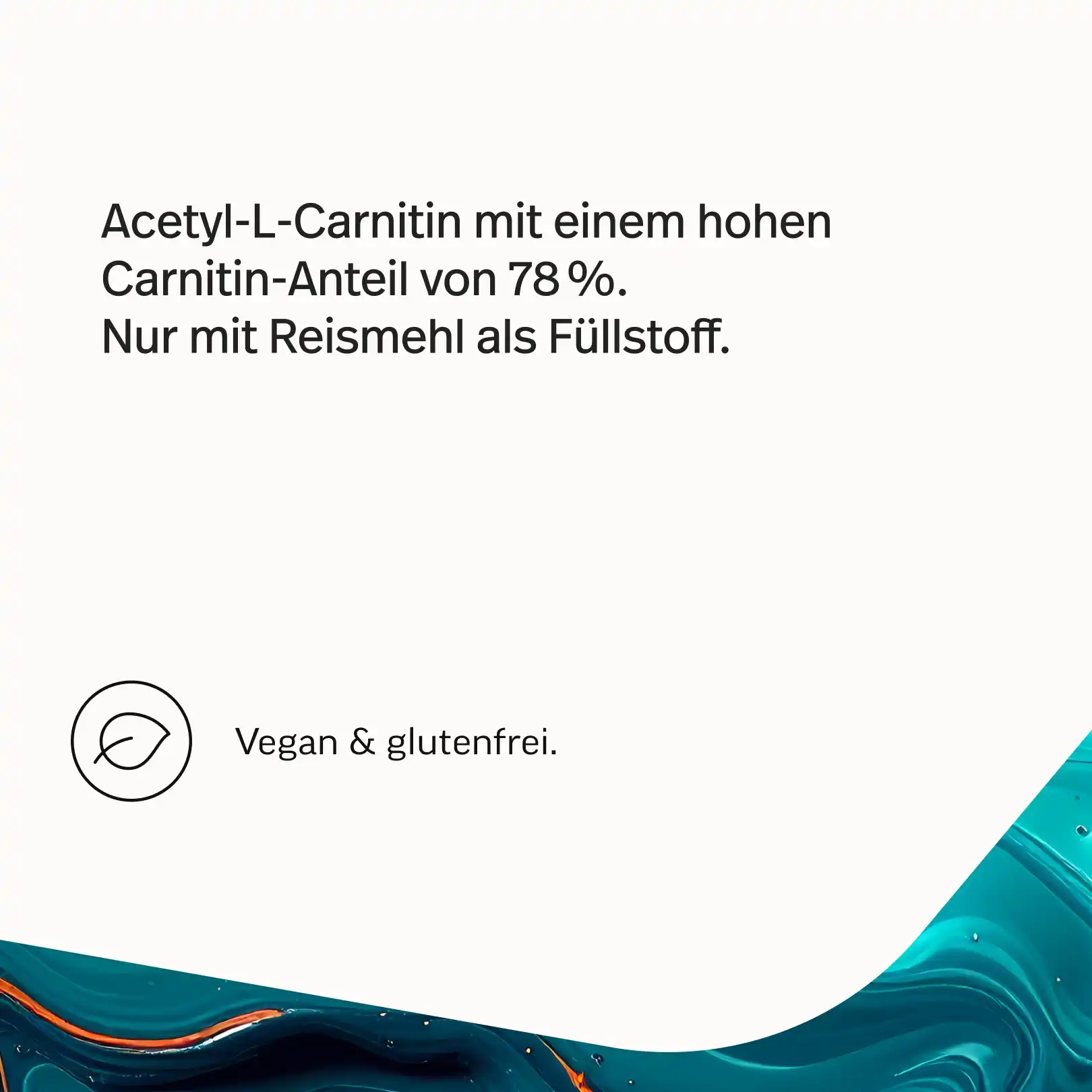 L-Carnitin Kapseln - Image 4