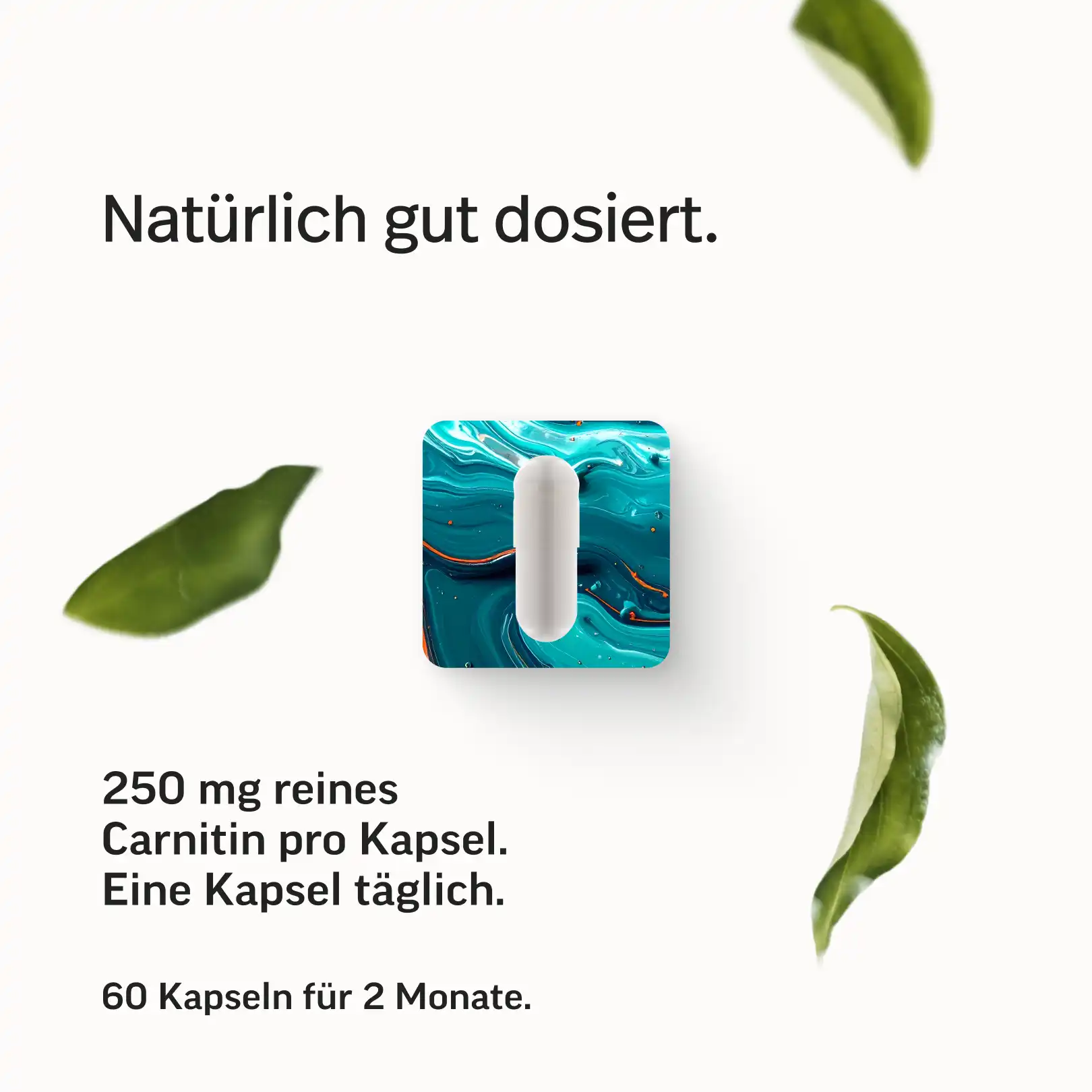 L-Carnitin Kapseln - Image 6