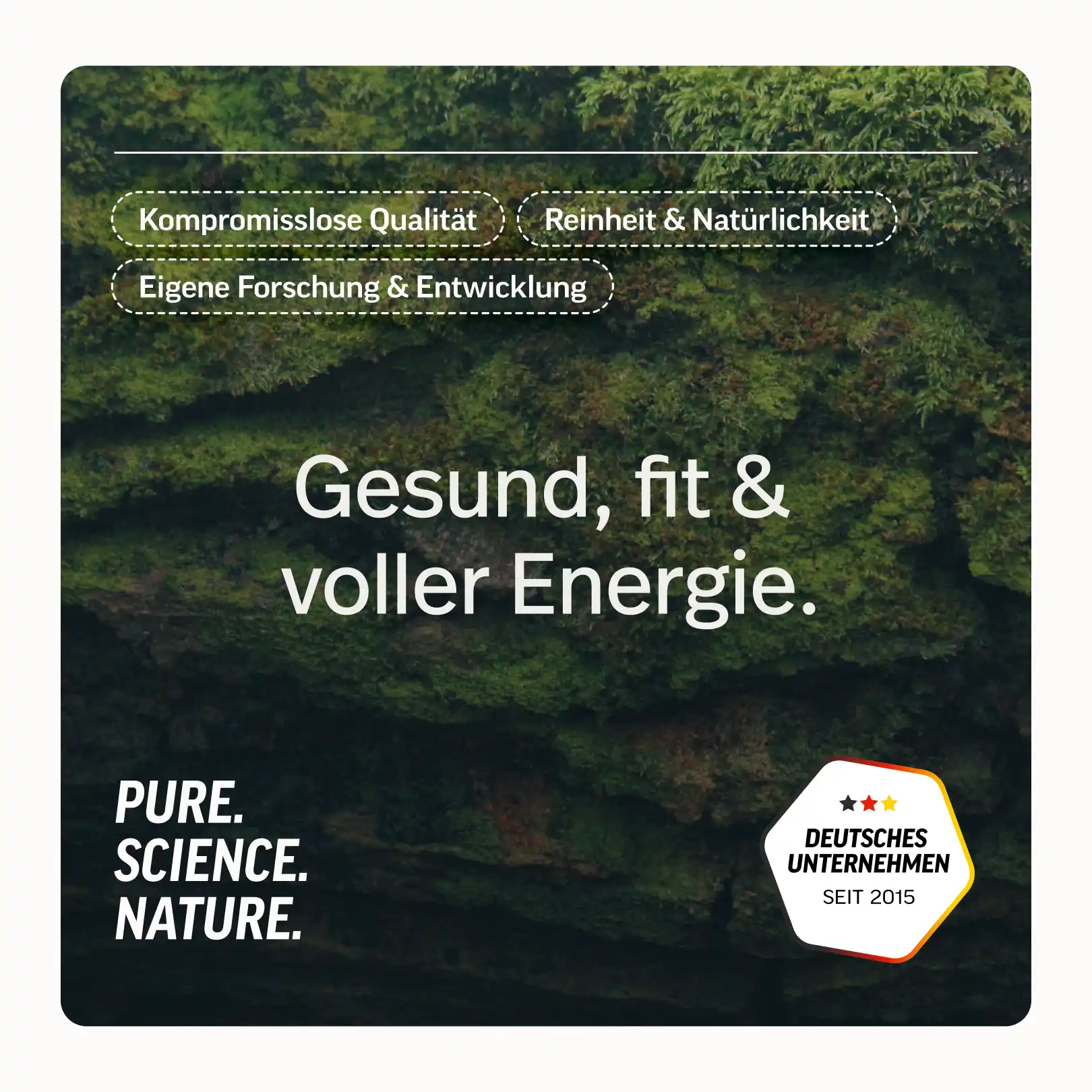 L-Carnitin Kapseln - Image 7