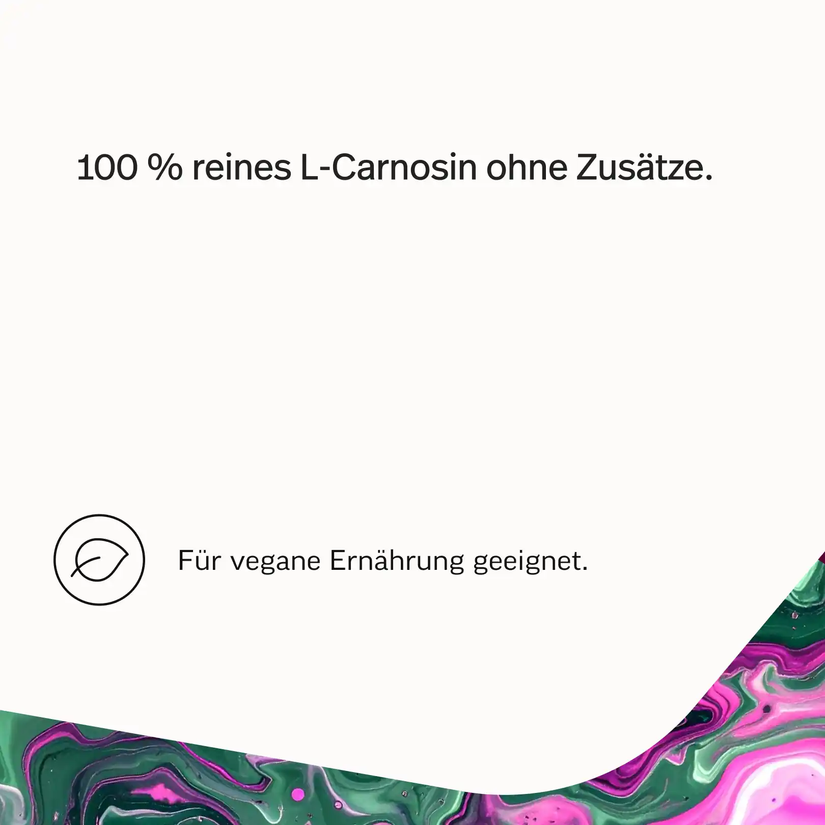 L-Carnosin Kapseln - Image 4