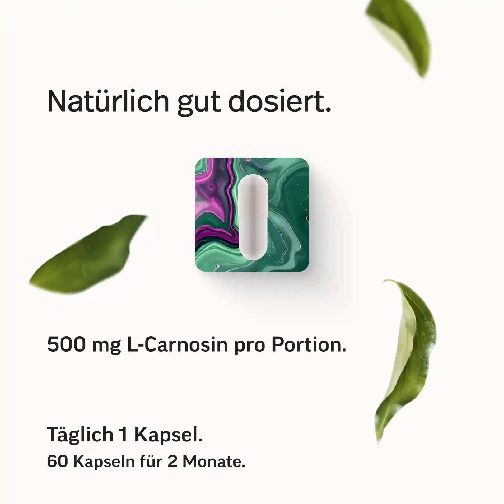 L-Carnosin Kapseln - Image 6