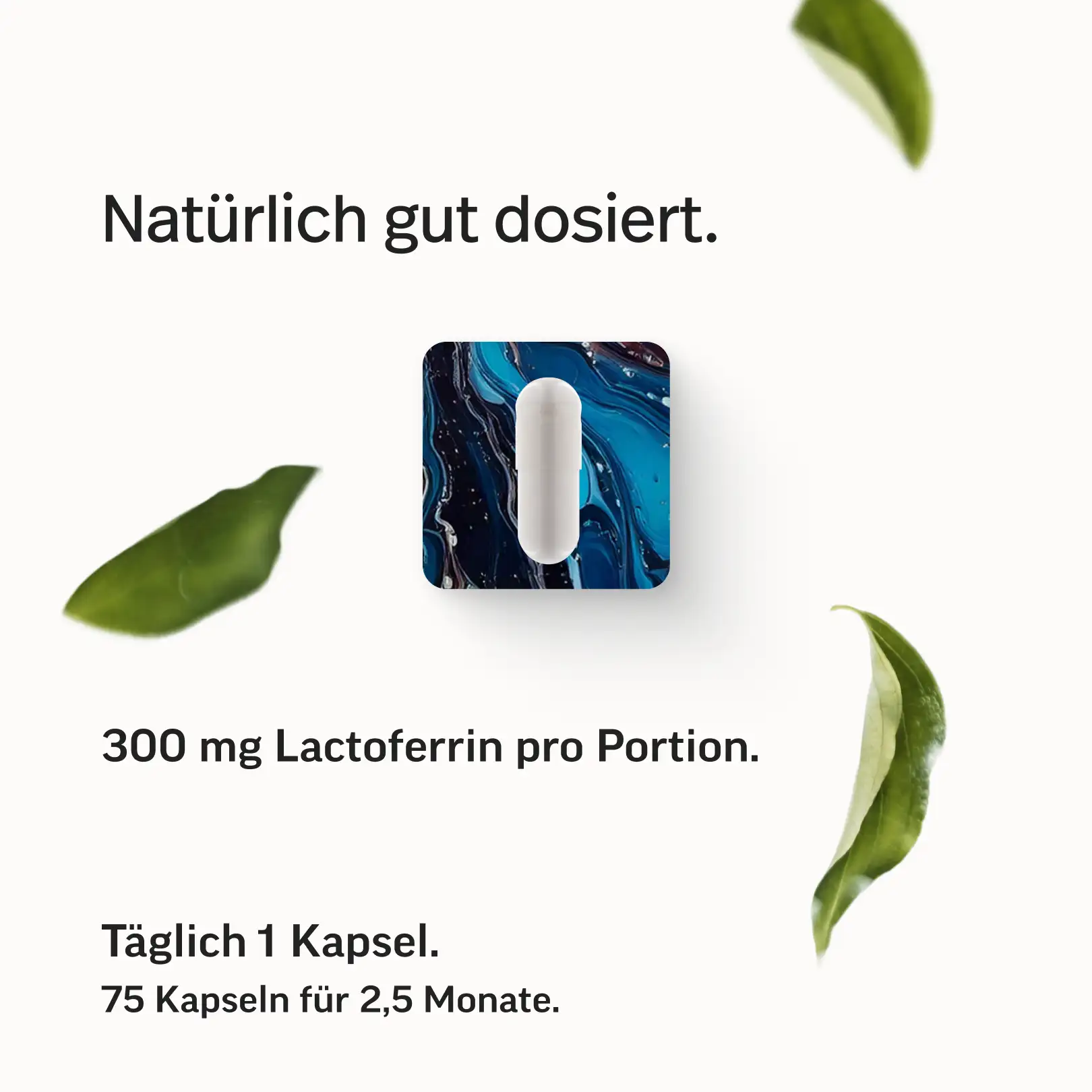 Lactoferrin - Image 6