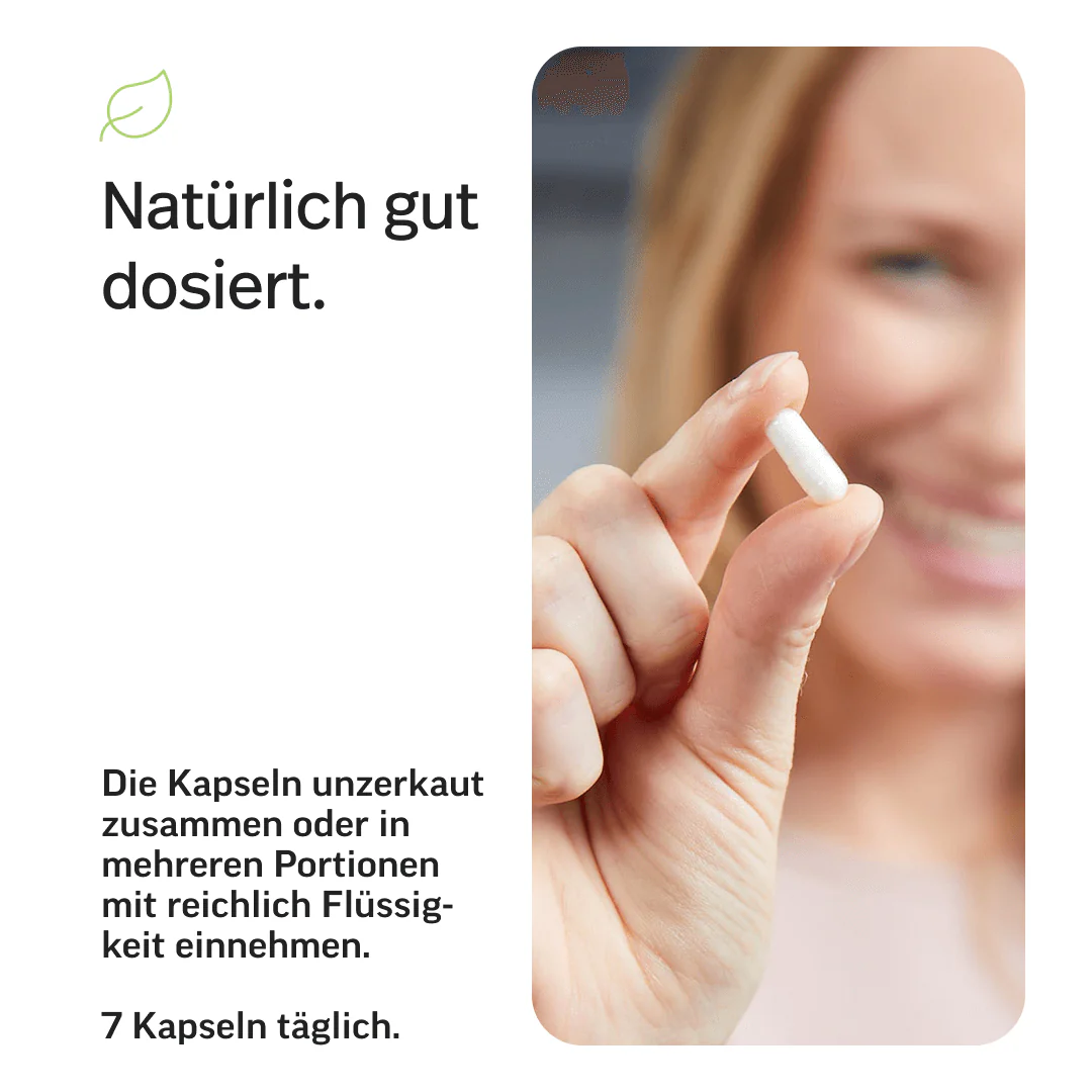 LP7 Aminosäuren Kapseln - Image 7