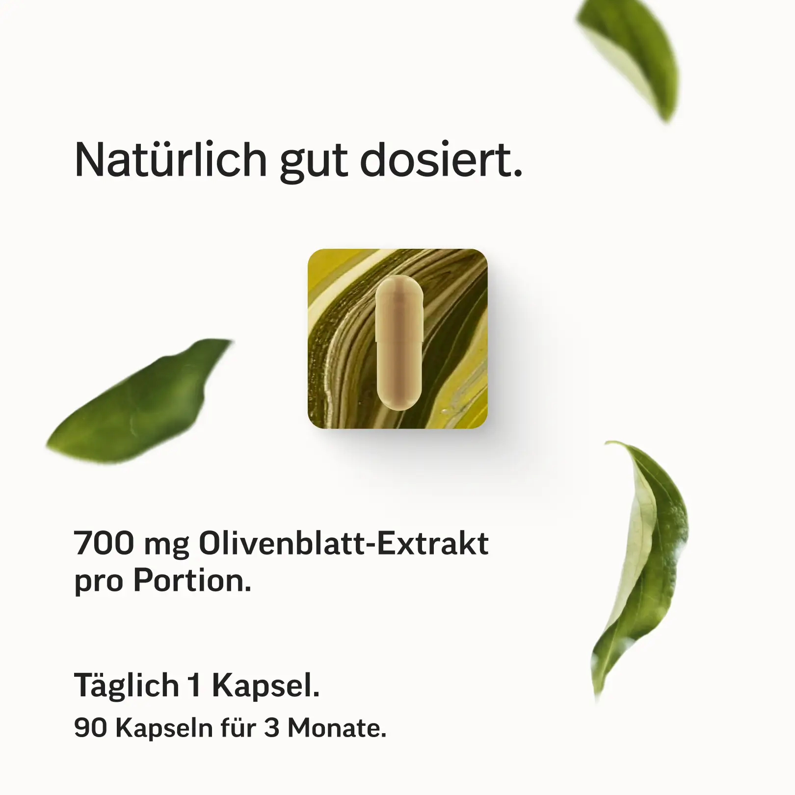 Olivenblatt-Extrakt Kapseln - Image 6