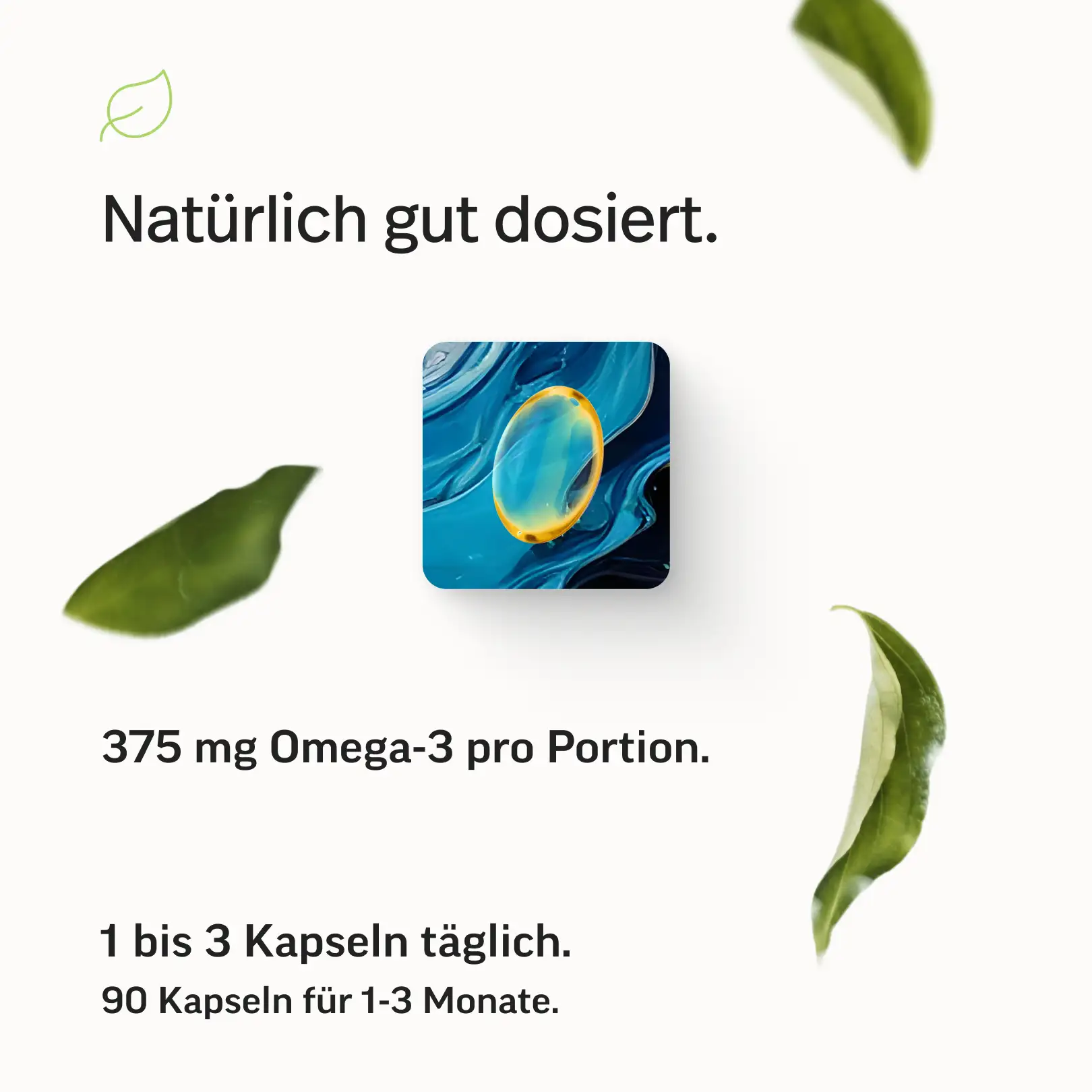 Omega-3 Kapseln – Triglyceride 70 % - Image 9