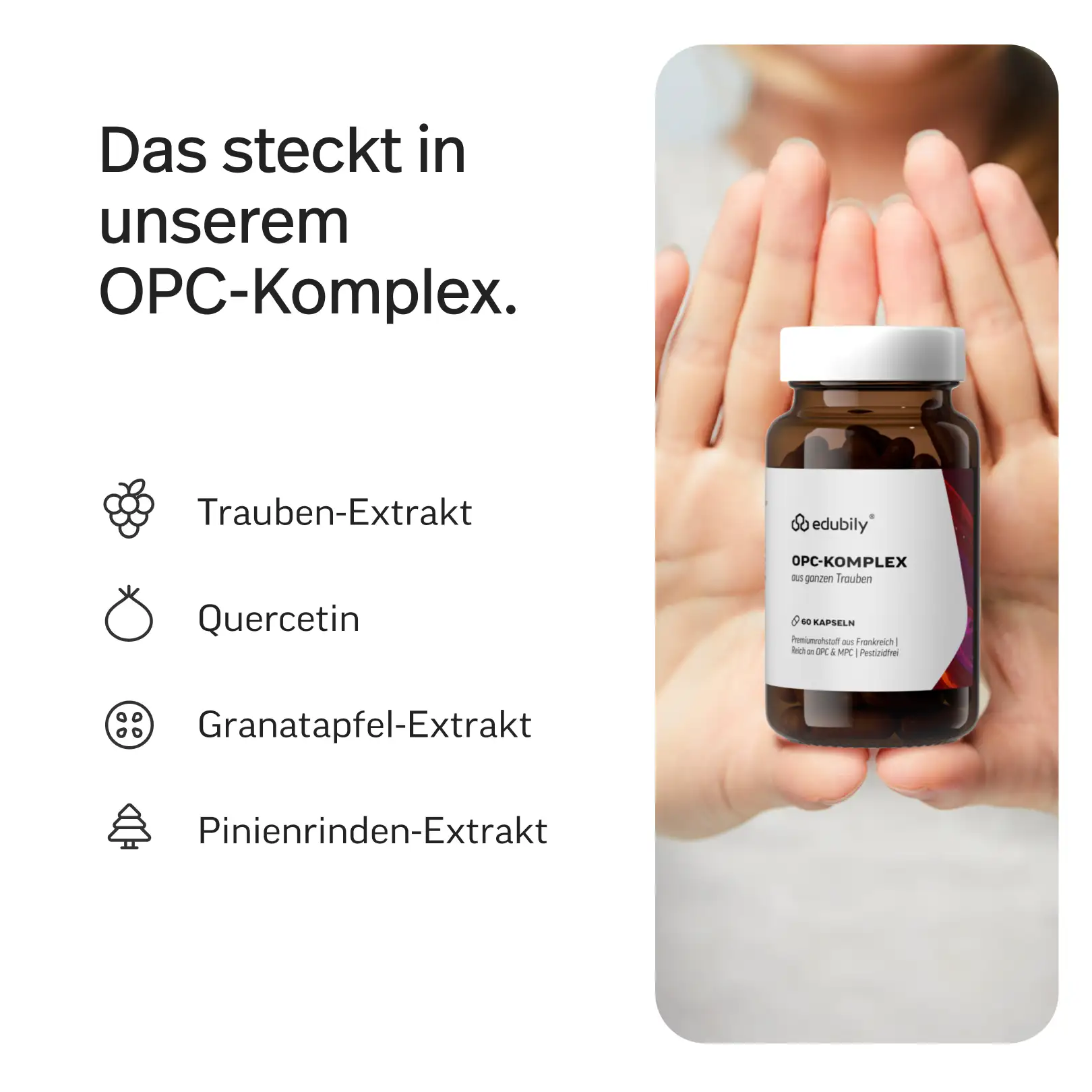 OPC-Komplex Kapseln - Image 2