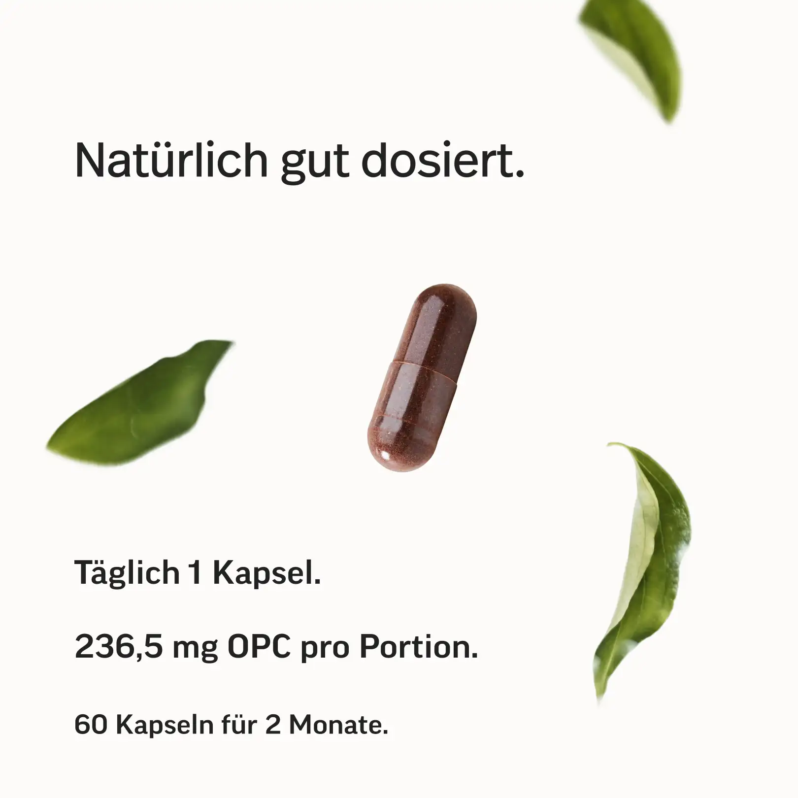 OPC-Komplex Kapseln - Image 6
