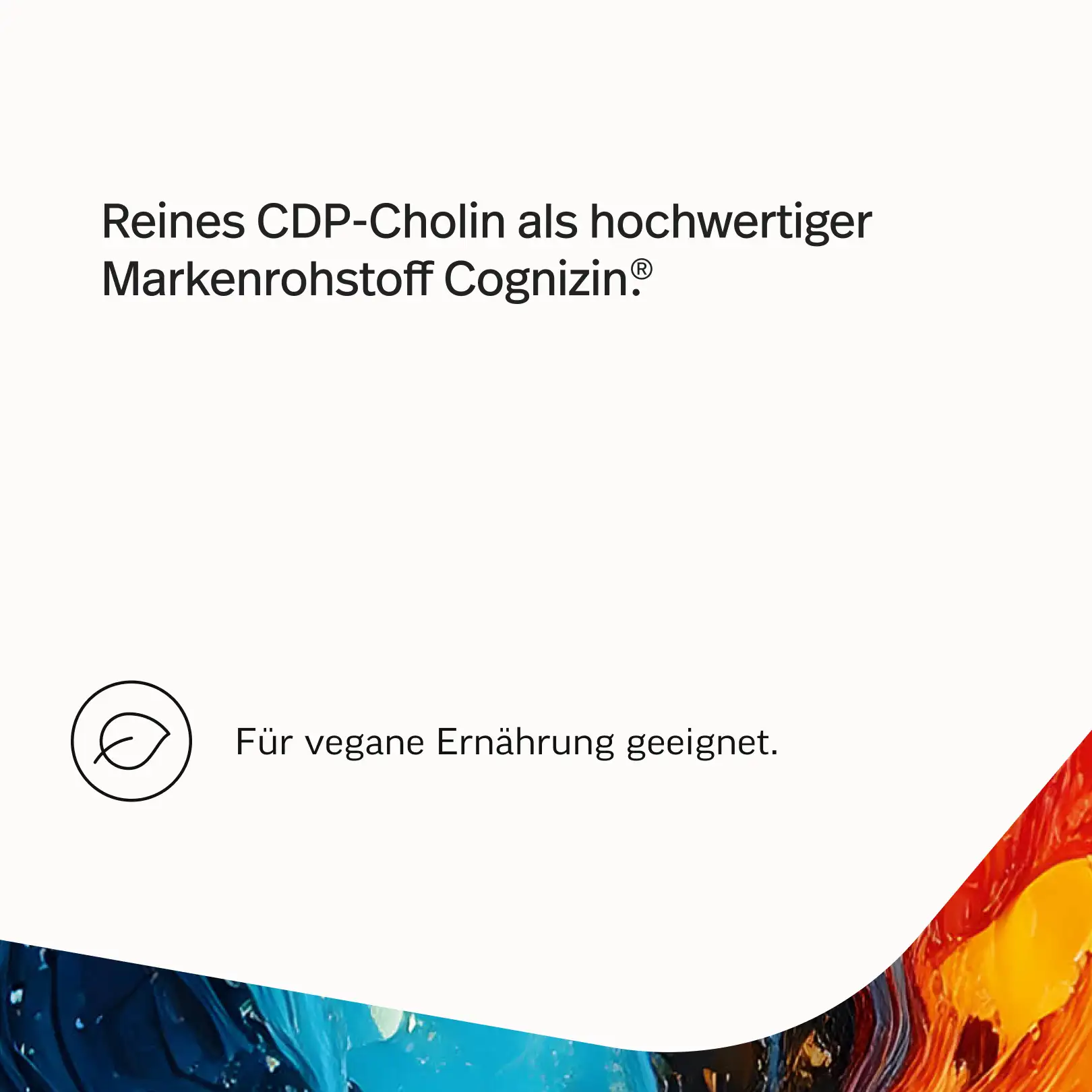 Cholin Kapseln – als CDP-Cholin - Image 4