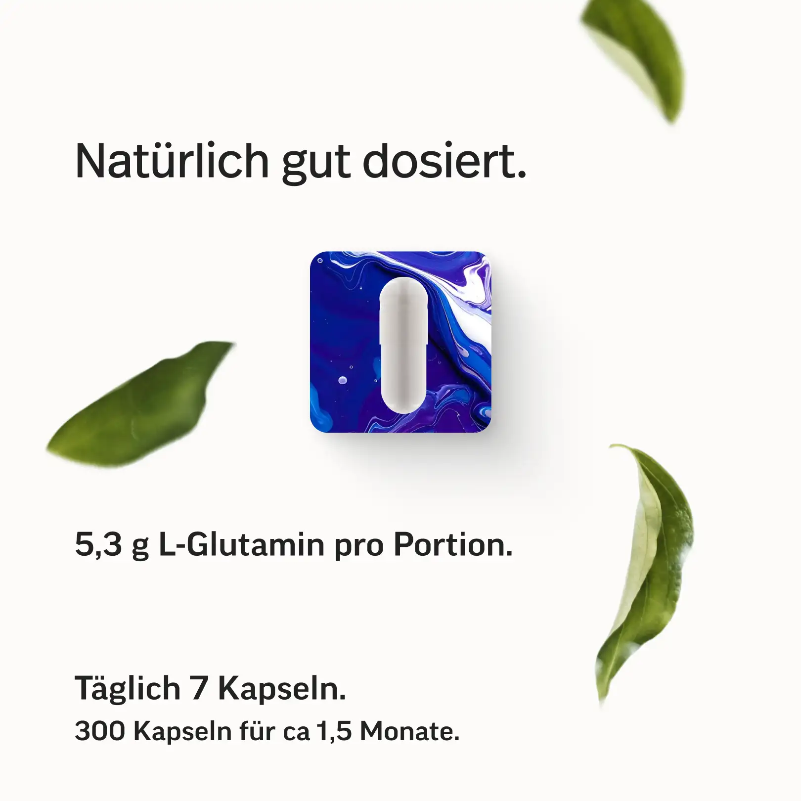 L-Glutamin Kapseln - Image 6
