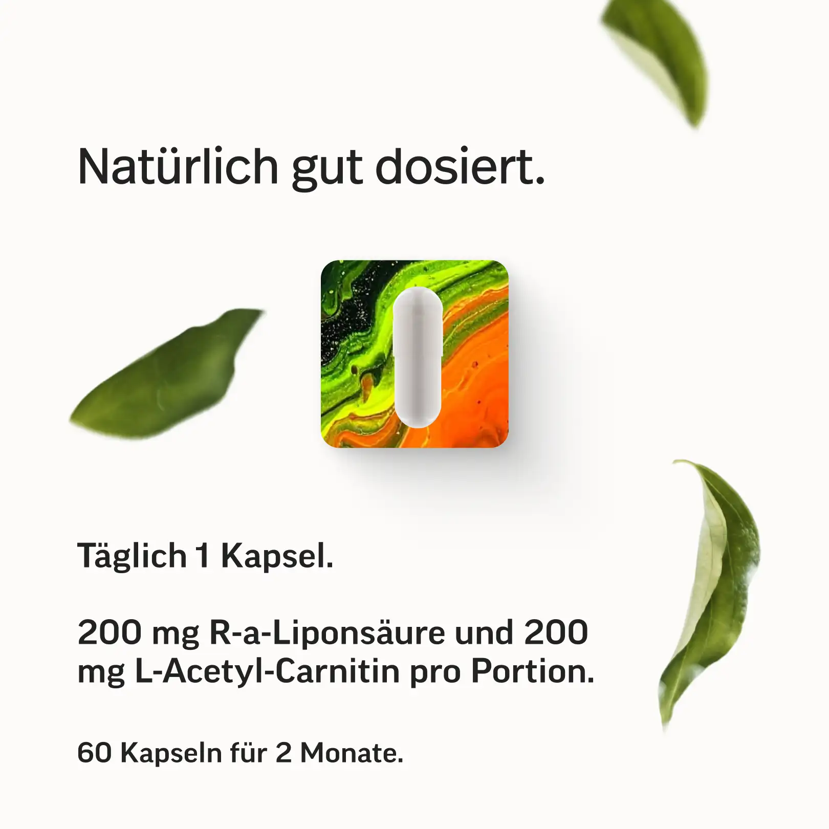 Macarena Kapseln - Image 6
