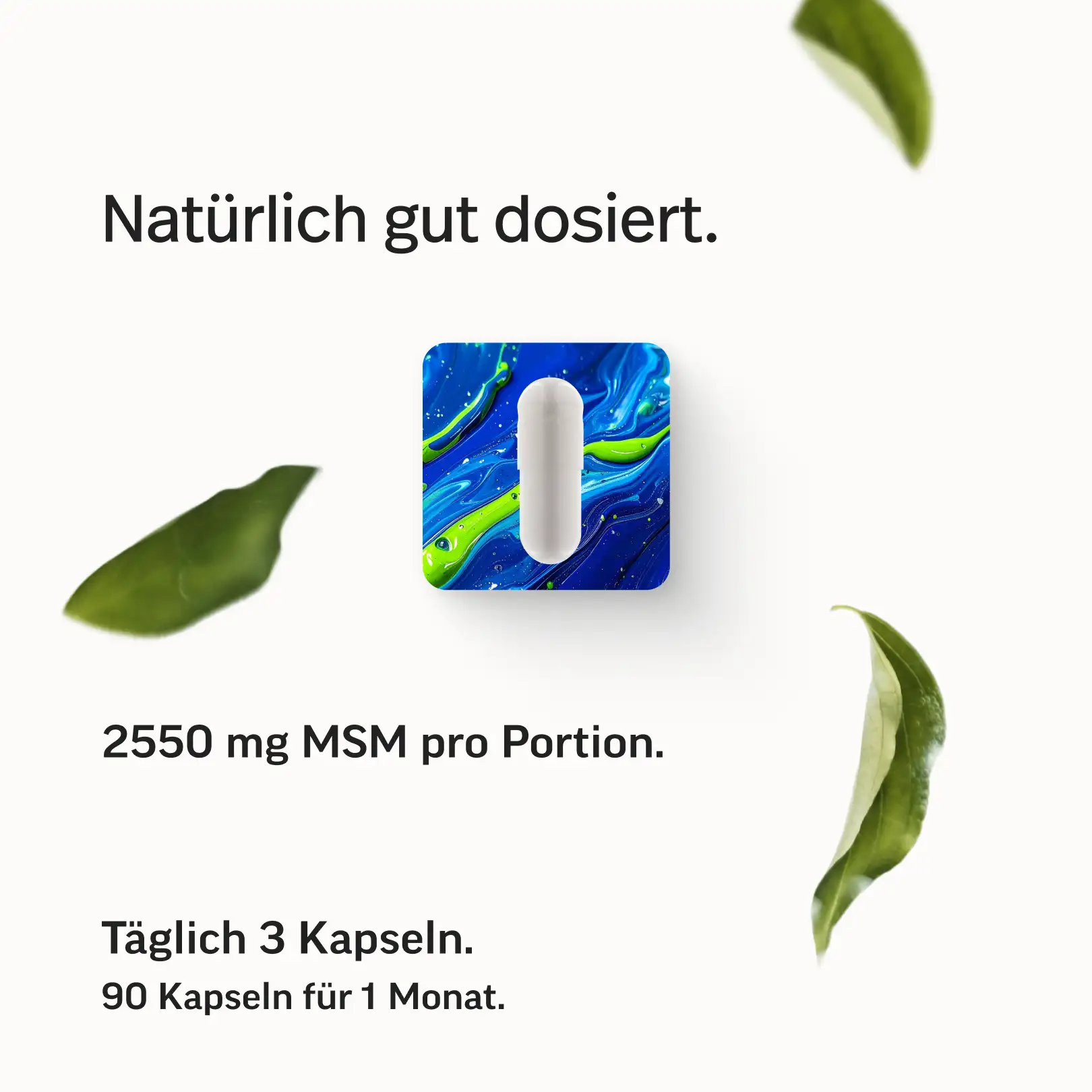 MSM Kapseln - Image 6