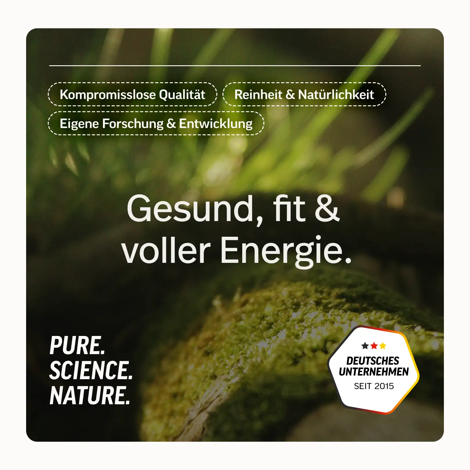 Resistentes Dextrin Pulver - Image 7