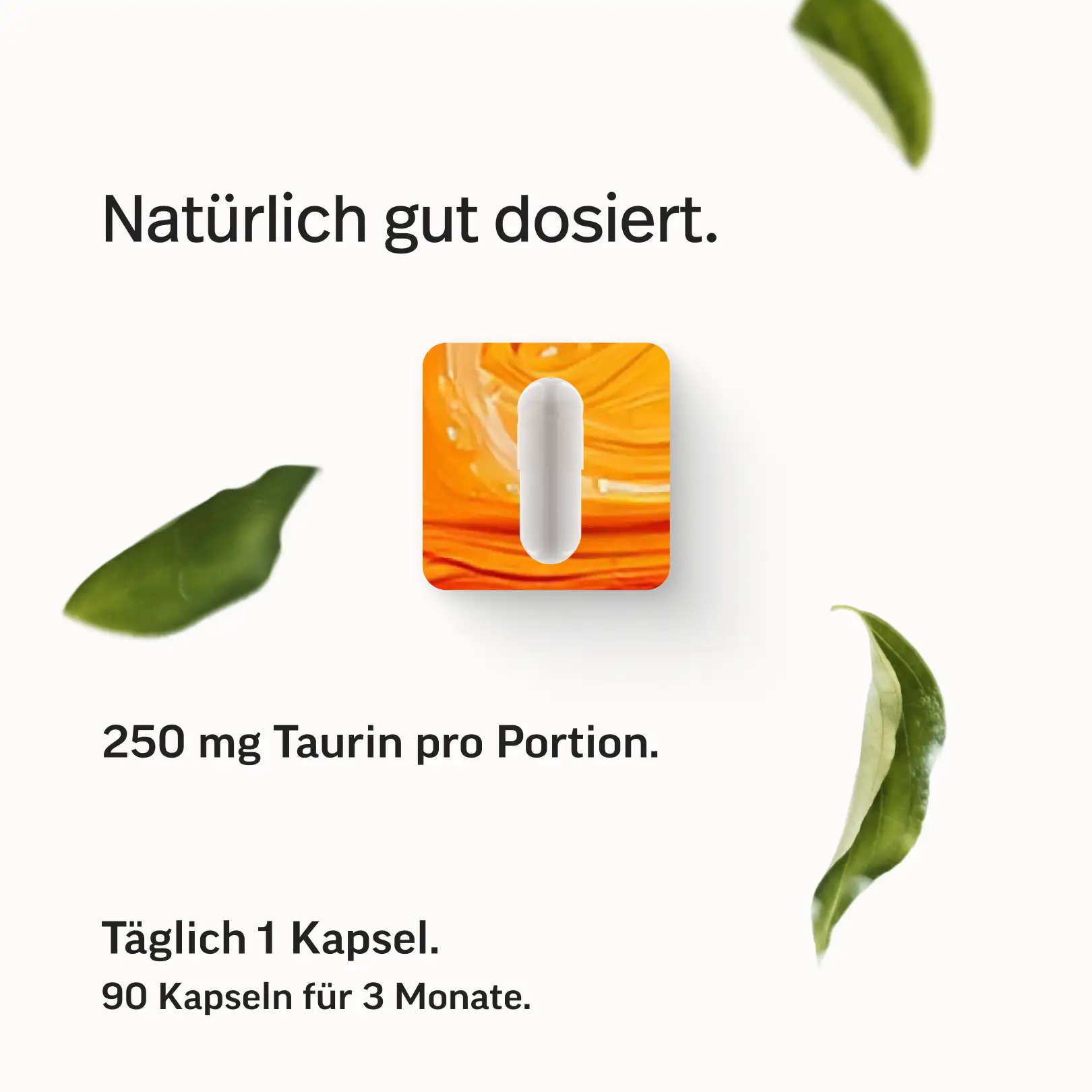 Taurin Kapseln - Image 7
