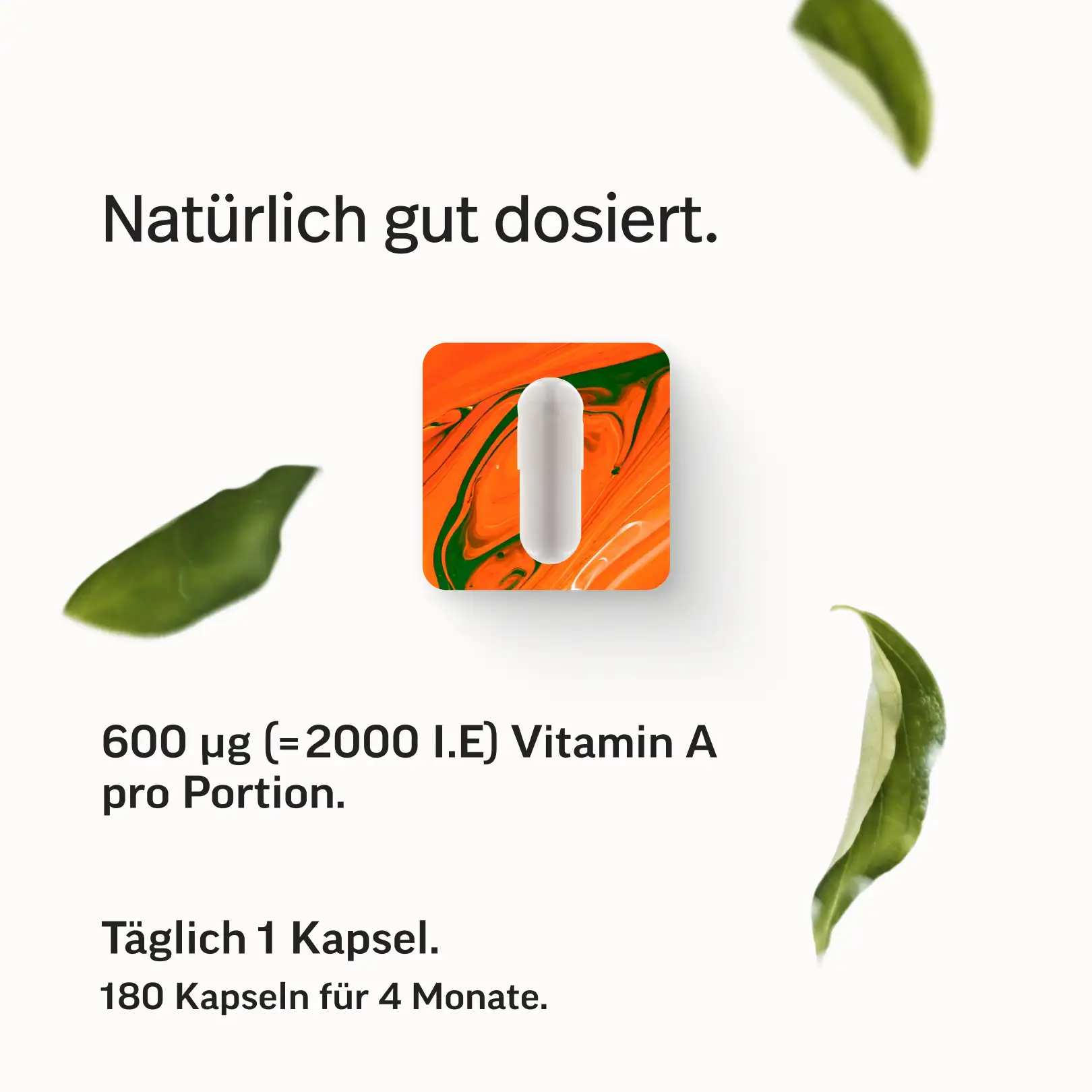 Vitamin A als reines Retinol - Image 7