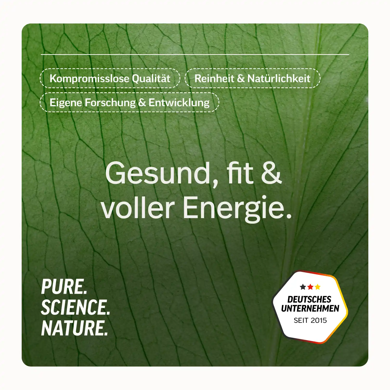 Vitamin B-Komplex - Image 8