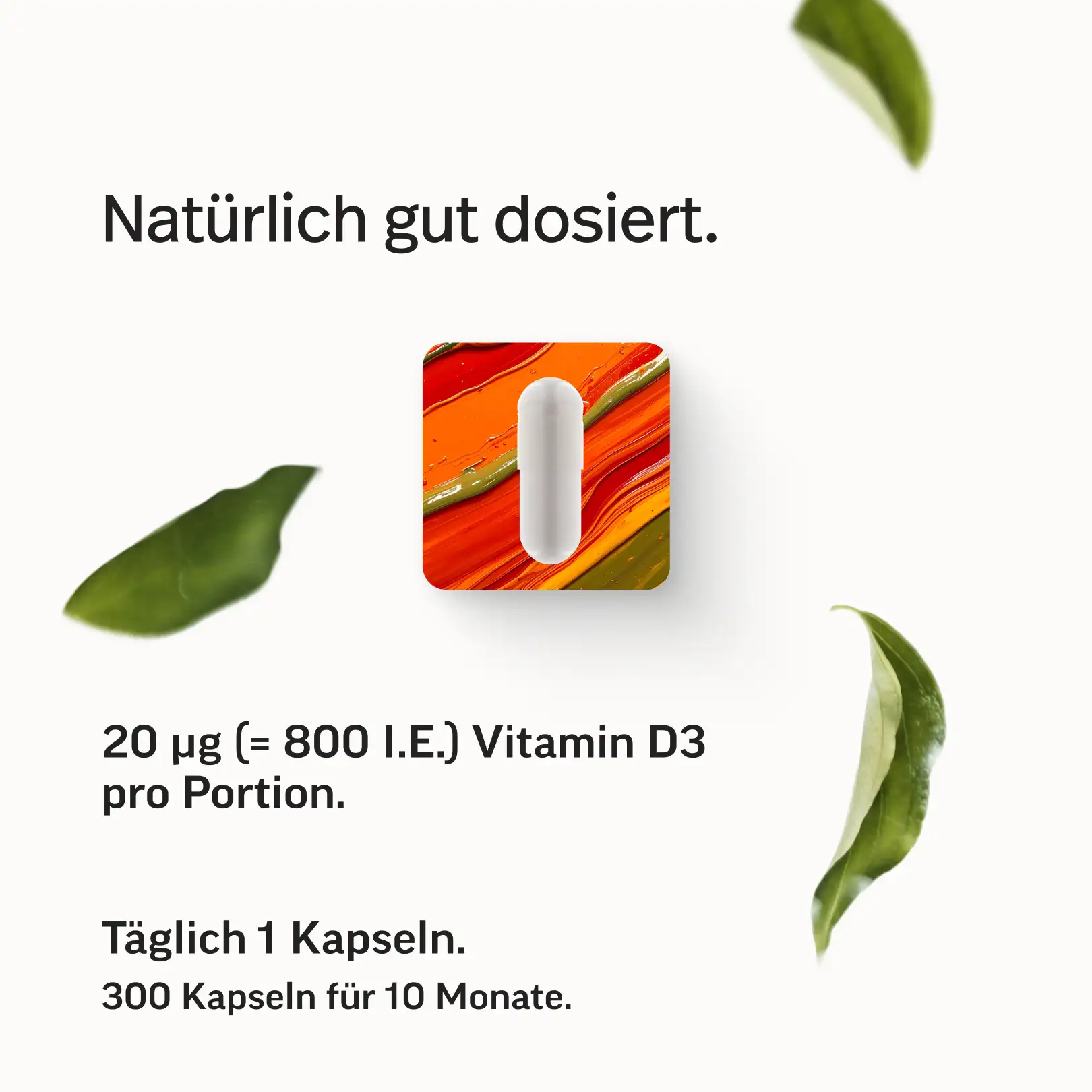 Vitamin D Öl & Kapseln - Image 17